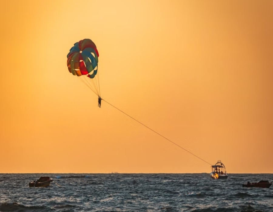 Hotels near morjim beach goa
